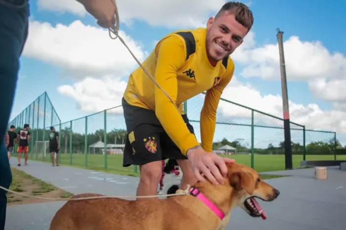 Ação de adoção de cães no Recife ocorre em 23 de outubro, a partir das 18h, na Ilha do Retiro, com animais e atividades da campanha.