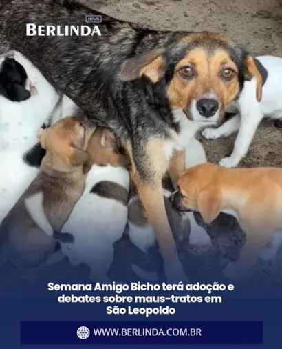 Semana Amigo Bicho: adoção em São Leopoldo