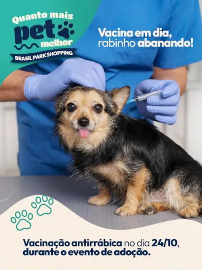 Evento de adoção em Anápolis no sábado, 24 de outubro, no Brasil Park Shopping, com cães, gatos e vacinação antirrábica.