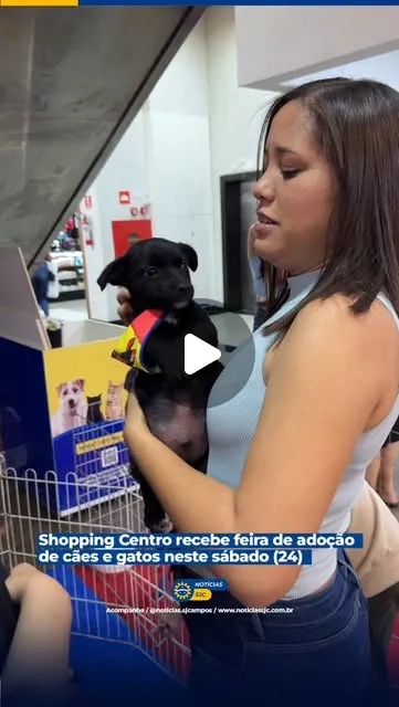 Feira de adoção de cães e gatos no Shopping Centro