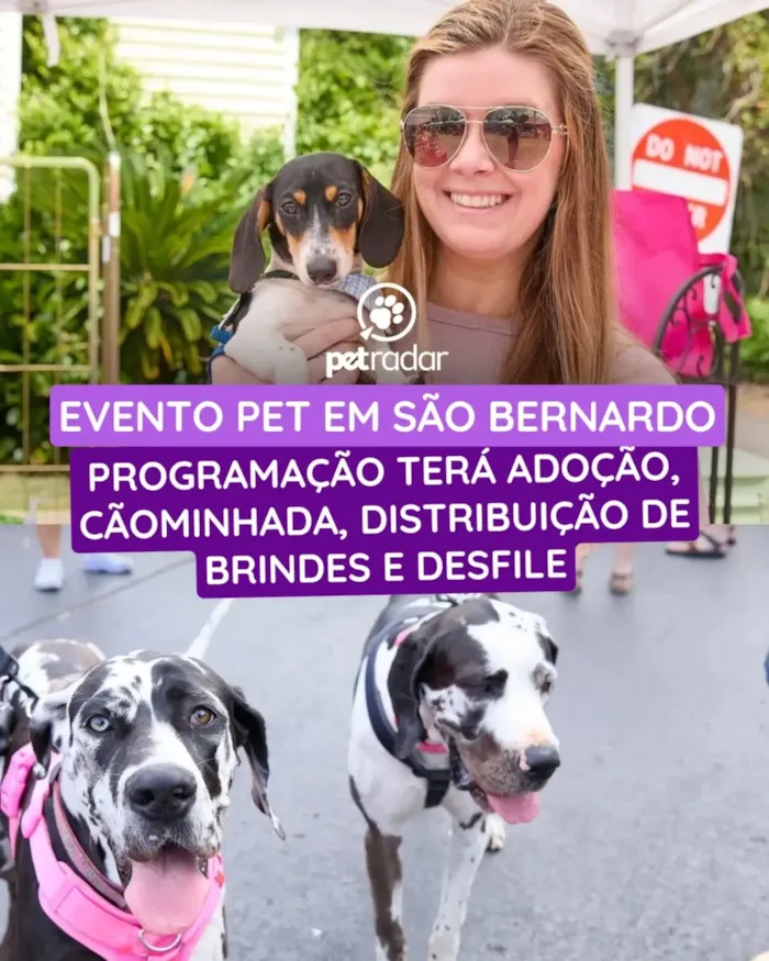 Feira de adoção em São Bernardo do Campo acontece em 8 de novembro, das 9h às 14h, com cães, cãominhada, brindes e desfile.