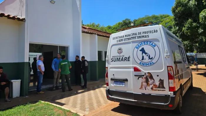 Em Sumaré, cães e gatos resgatados estarão disponíveis para adoção em 24 de outubro, das 9h às 12h, na Agrosete, com orientação.