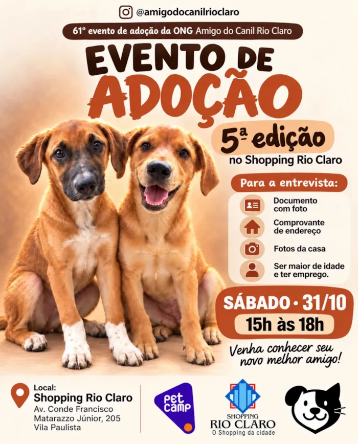 Evento de adoção em Rio Claro acontece em 31 de outubro, das 15h às 18h, com cães resgatados à espera de uma família.