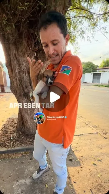 Feirinha de adoção em Caxias reúne cães e gatos