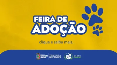 Feira de adoção em Eldorado do Sul no dia 7 de novembro