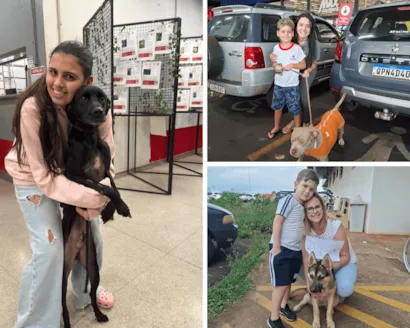 Adoção de cães e gatos em São José do Rio Preto em novembro