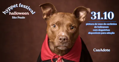 Hyppet Festival: adoção de cães em São Paulo 2026