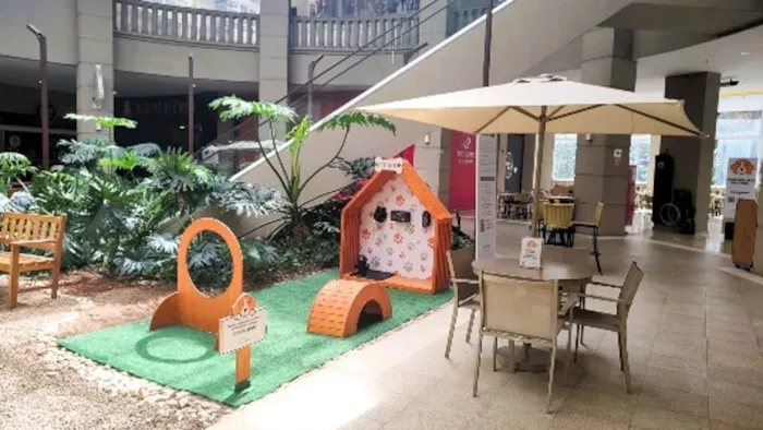 Feira de adoção gratuita de cães e gatos no Alpha Square Mall, em Barueri (SP), no dia 31 de outubro, das 12h às 16h. Evento temático de Halloween com