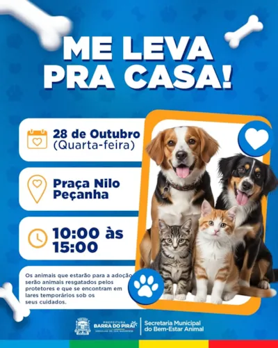 Adoção de cães e gatos em Barra do Piraí: Me Leva pra Casa!