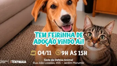 Feirinha de Adoção em Atibaia: Cães e Gatos Buscam um Lar
