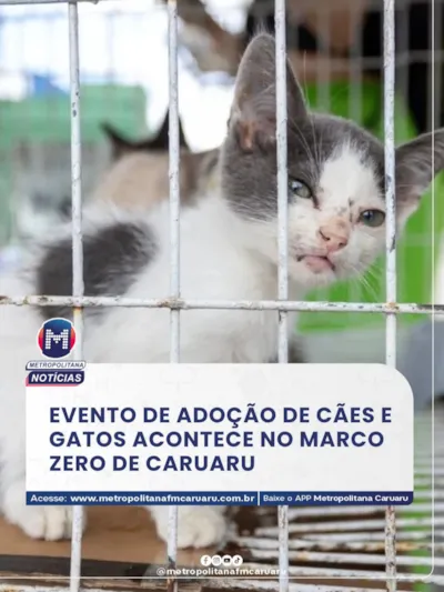 Evento de adoção de cães e gatos acontece no Marco Zero de Caruaru