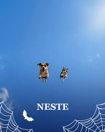 Pet Day: feira de adoção de cães em São Paulo