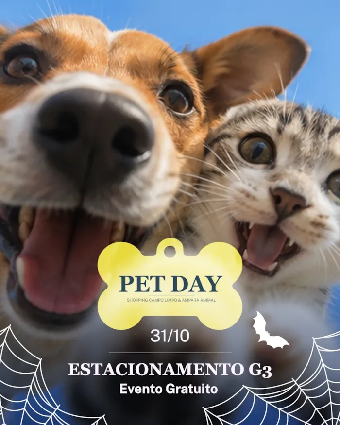 Pet Day: feira de adoção de cães em São Paulo - imagem 5