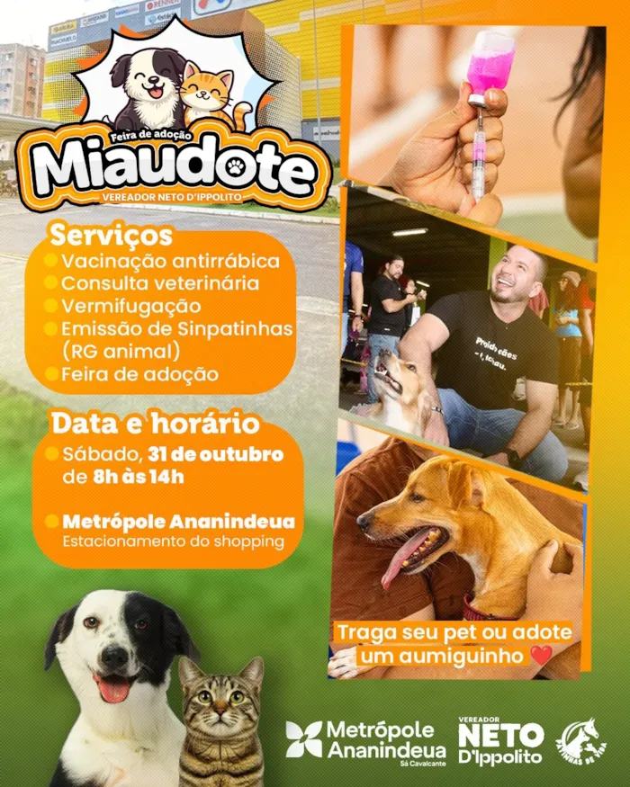 Feira de adoção em Ananindeua acontece em 31 de outubro, das 8h às 14h, com pets e serviços gratuitos no Metrópole.