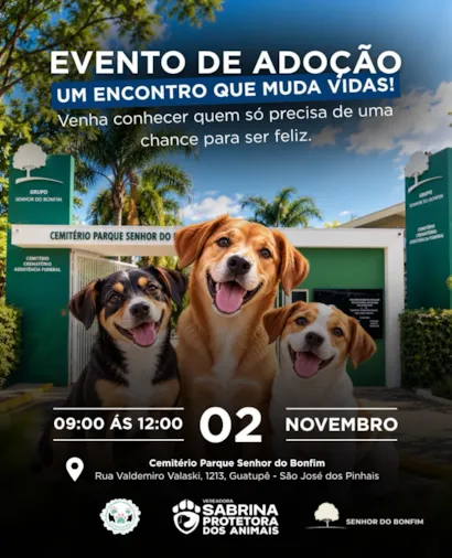 Evento de adoção de animais em São José dos Pinhais