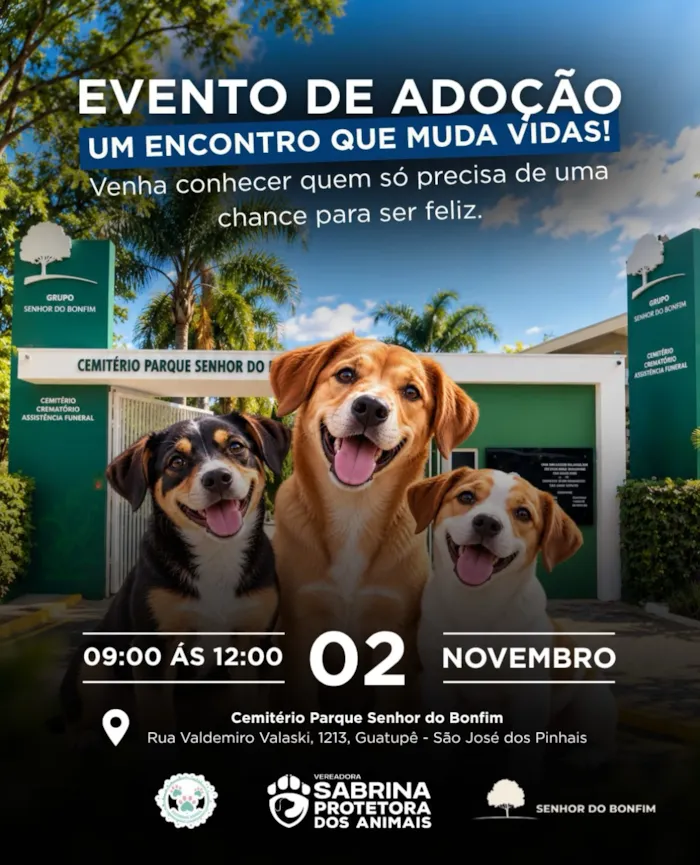 Evento de adoção em São José dos Pinhais ocorre em 2 de novembro, das 9h às 12h, com cães à espera de um novo lar.