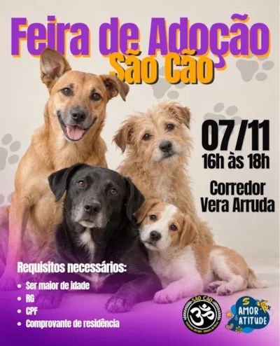 Feira de adoção em Maceió: São Cão no sábado