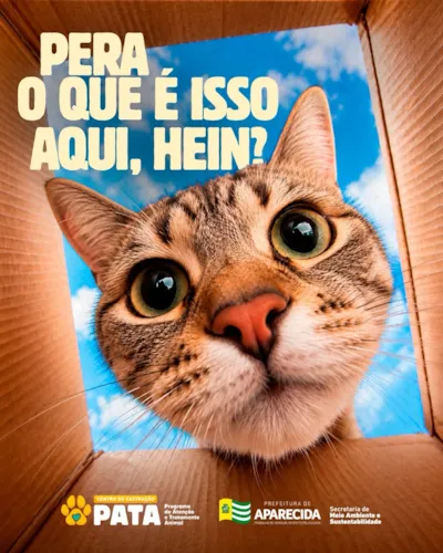 Evento Pata: adoção em Aparecida de Goiânia