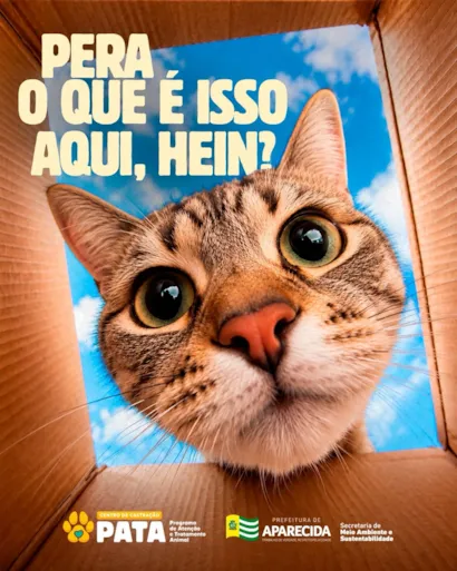 Evento Pata: adoção em Aparecida de Goiânia