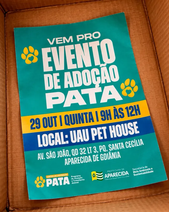 Evento Pata: adoção em Aparecida de Goiânia - imagem 2