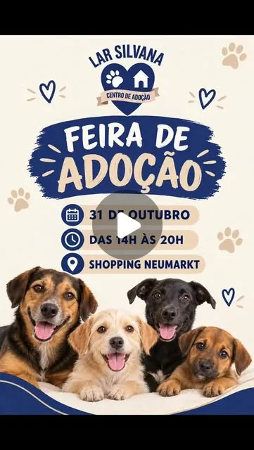 Feira de adoção em Blumenau no Shopping Neumarkt