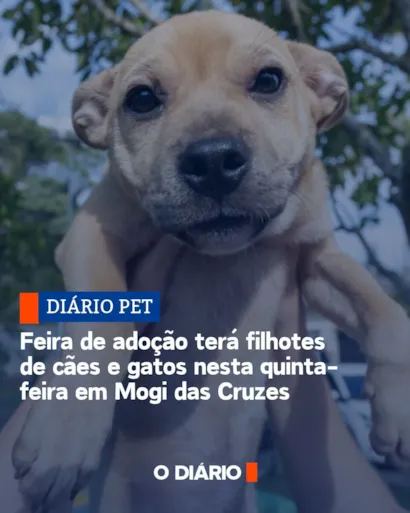 Feira de adoção de cães e gatos em Mogi das Cruzes