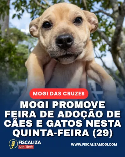 Feira de adoção em Mogi das Cruzes nesta quinta