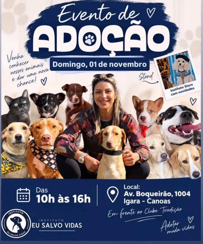 Mais de 20 cães aguardam adoção em Canoas no domingo, 1º de novembro, das 10h às 16h, com novidades do Instituto Store.