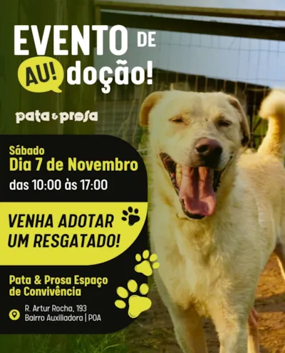 Evento de adoção em Porto Alegre: Pata & Prosa