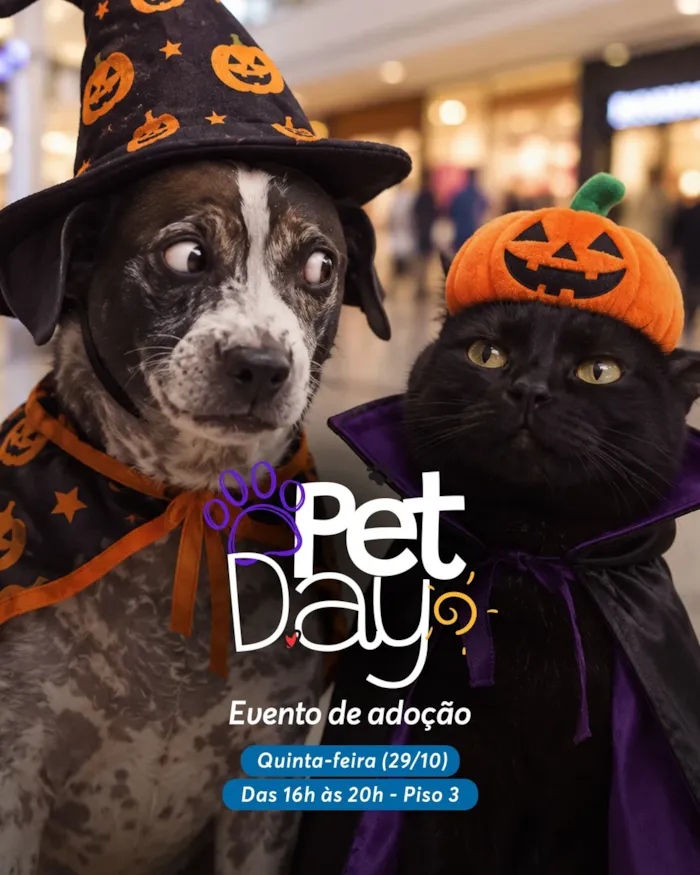 Evento de adoção em Maracanaú acontece em 29 de outubro, das 16h às 20h, no North Shopping, com cães e gatos à espera de um lar.