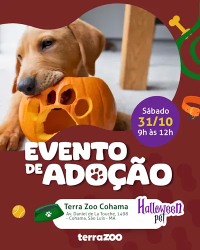 Feira de adoção em São Luís no Halloween Pet da Terra