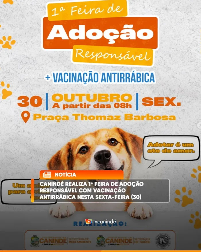 Feira de adoção em Canindé acontece em 30 de outubro, a partir das 8h, com cães da Casa de Passagem e vacinação antirrábica.