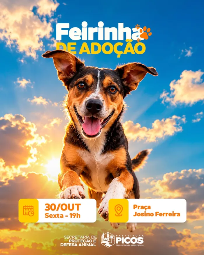 Feirinha de adoção responsável de animais em Picos - imagem 3