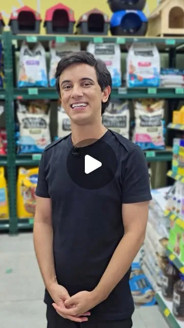 Feira de adoção de cães e gatos em Caruaru no sábado