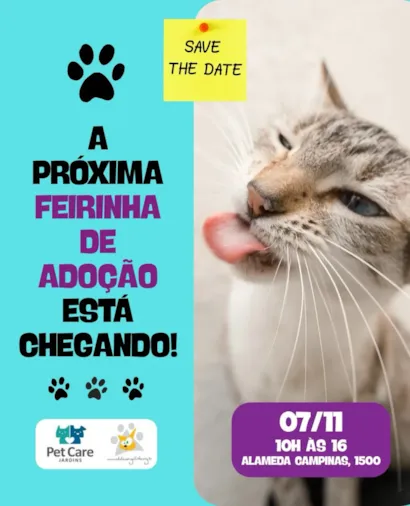Feirinha de adoção de gatos em São Paulo no Jardins