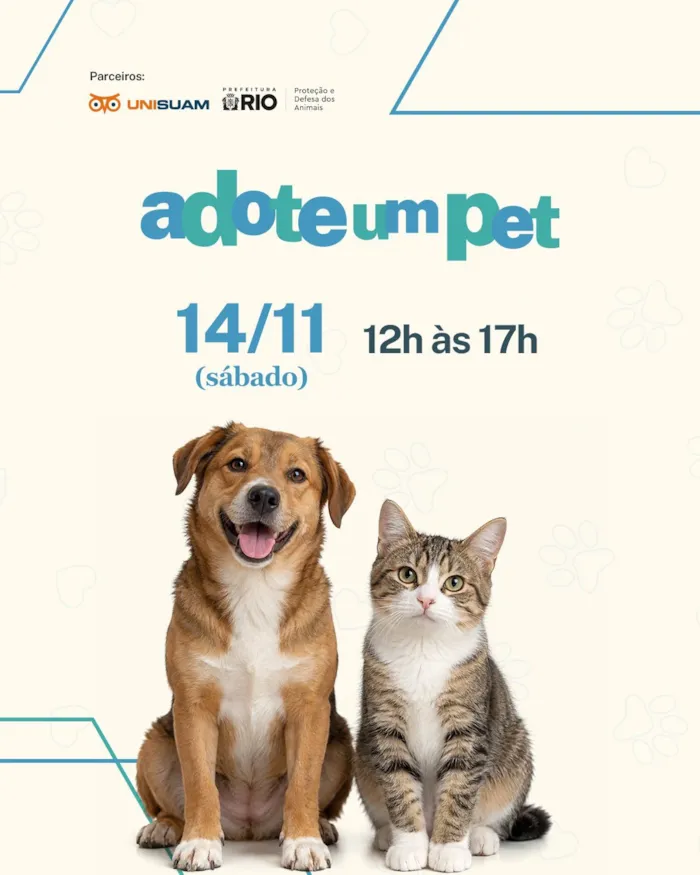 Adote um Pet: evento de adoção em Rio de Janeiro - imagem 2