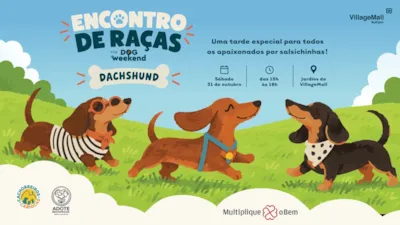 Feira de adoção no Rio de Janeiro com salsichinhas
