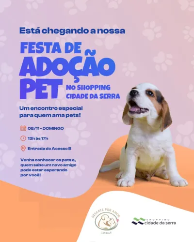 Festa de adoção em Serra no Shopping Cidade da Serra