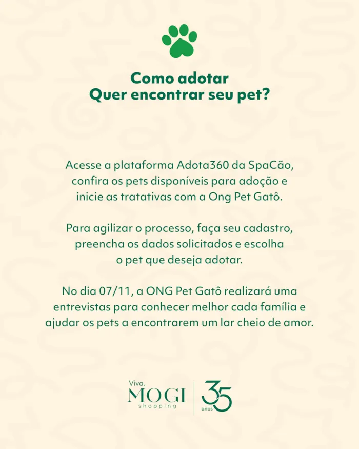 Evento de adoção Pet no Mogi Shopping em 07/11 - imagem 5