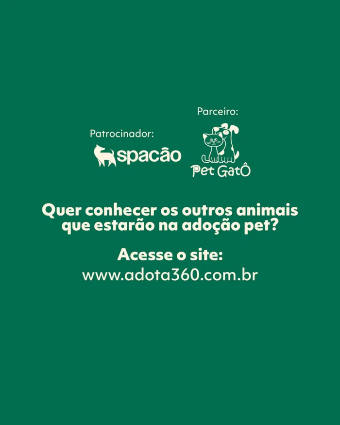 Evento de adoção Pet no Mogi Shopping em 07/11 - imagem 6