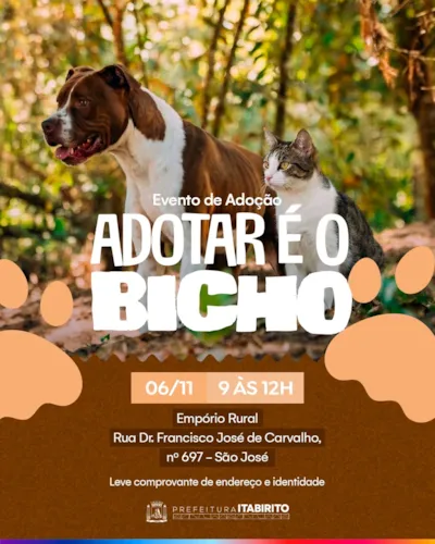 Feira de adoção em Itabirito: Adotar é o Bicho