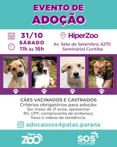Evento de adoção de cães resgatados em Curitiba