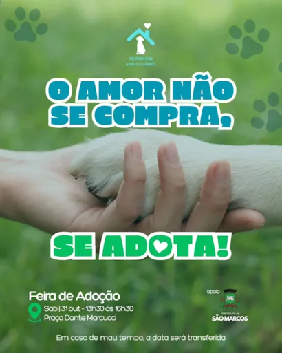 Feira de adoção em São Marcos ocorre em 31 de outubro, das 13h30 às 16h30, com animais à espera de um lar responsável.