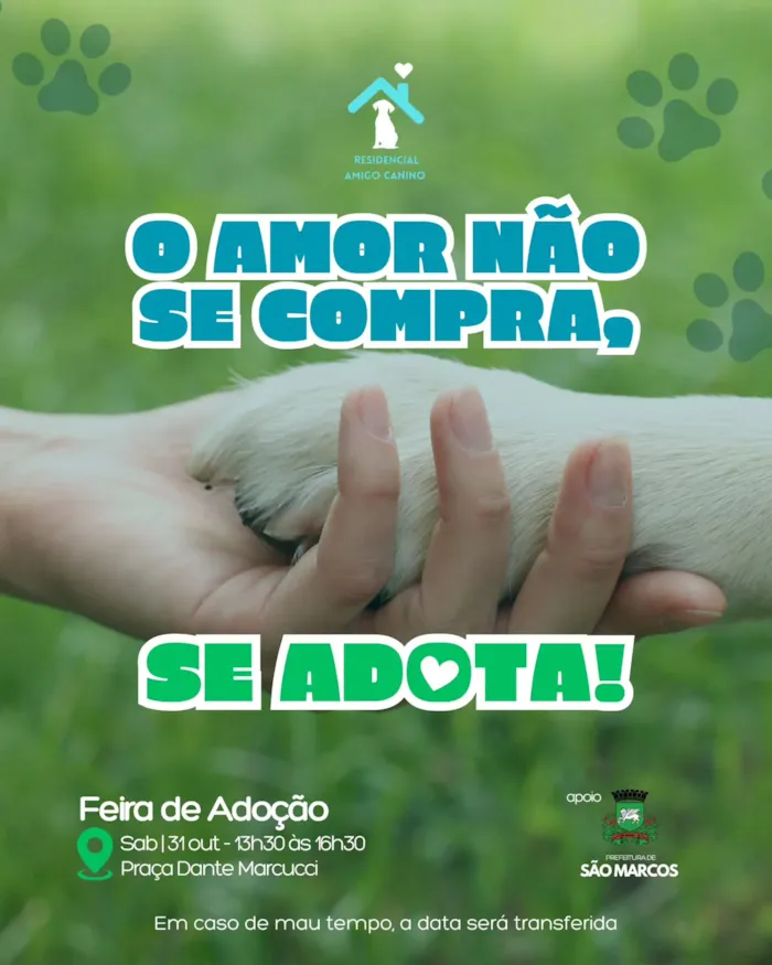 Feira de adoção em São Marcos ocorre em 31 de outubro, das 13h30 às 16h30, com animais à espera de um lar responsável.