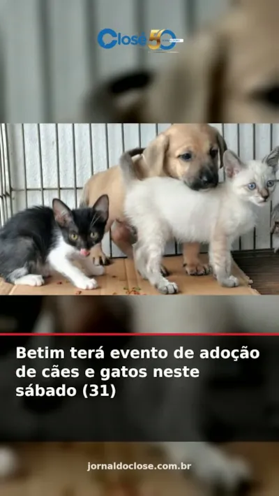 Grande feira de adoção de cães e gatos em Betim