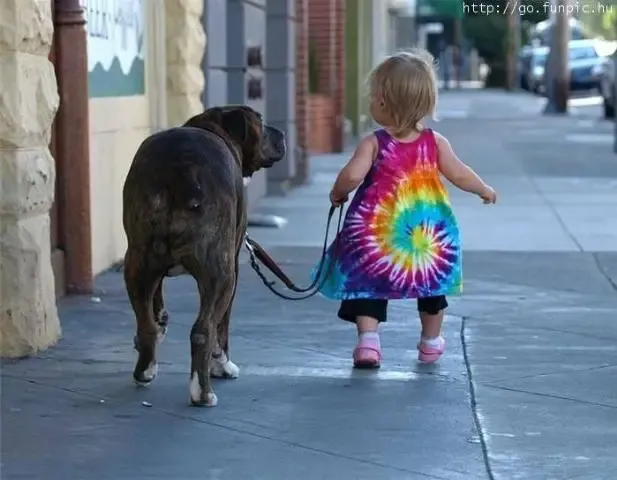 Os Animais fazem BEM até para os BEBES.