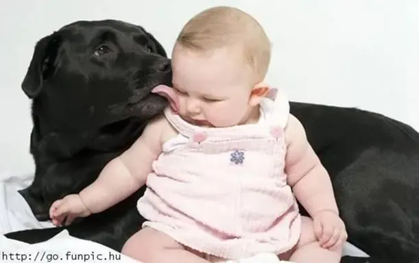 Os Animais fazem BEM até para os BEBES.