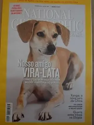 Vira-Latas brasileiros são capa da National Geographic