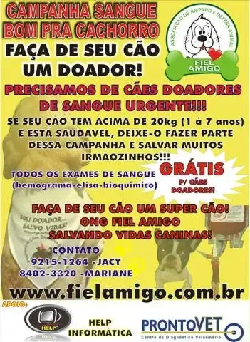 URGENTE ! Salve o Lyon, DOE SANGUE DO SEU CÃO.