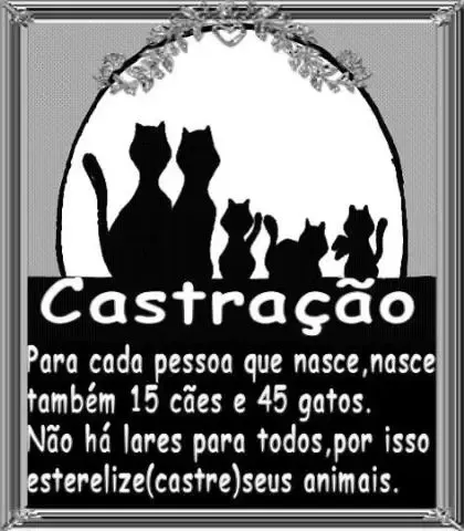 Prefeitura Campo Grande - MS faz CONVENIO COM ONGS PARA CASTRAÇÃO.